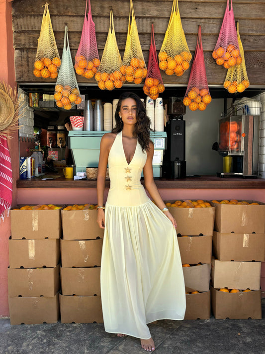 GISELLE | MAXI DRESS